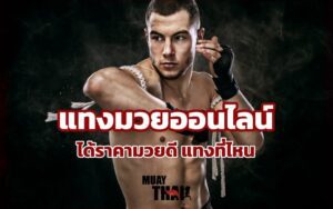 CoverMuaythai link x