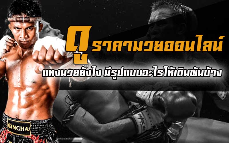 tiger444 แทงมวยออนไลน์