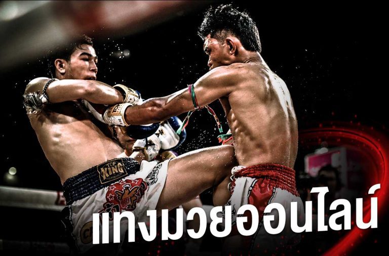 tiger444 แทงมวยออนไลน์